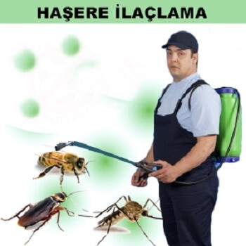 Dernekpazarı Böcek İlaçlama